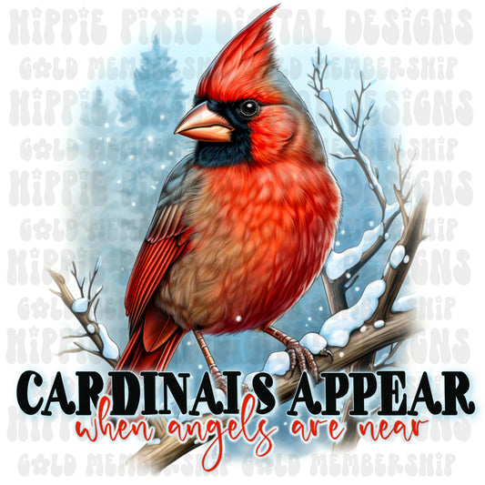 Cardinals Appear When Angels are Near